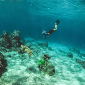 Sunset and Snorkeling Adventure (Big boat)
