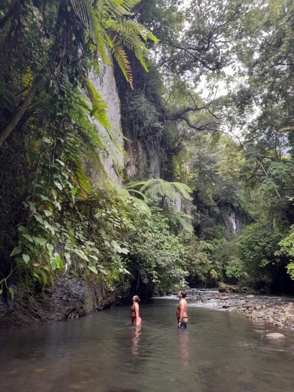 Mega Combo🌟🏞️ - Image 11